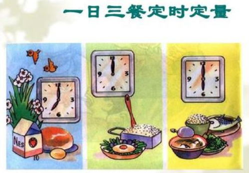 腸功能紊亂應(yīng)注意事項