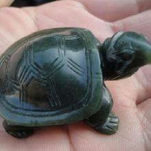 手把件龜注意事項(xiàng)