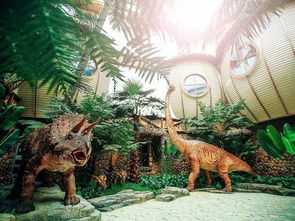 恐龍園游玩注意事項(xiàng),常州恐龍園攻略,常州恐龍園有哪些項(xiàng)目