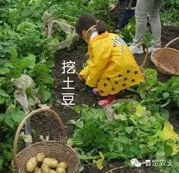 去采摘園注意事項(xiàng)