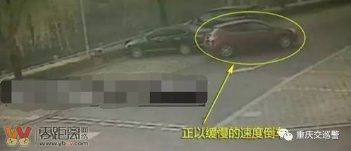 指揮的注意事項(xiàng),合唱指揮注意事項(xiàng),塔吊指揮注意事項(xiàng)