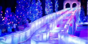冰雕展注意事項
