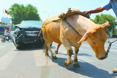 賣車給黃牛注意事項(xiàng)