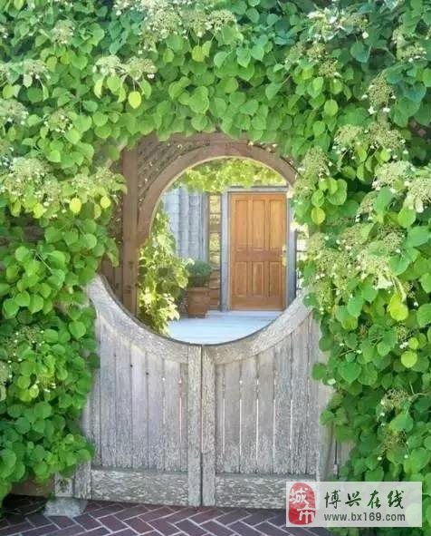 底樓,注意事項(xiàng),房子,購買