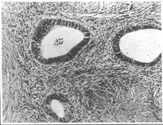 月經(jīng)注意事項(xiàng)詳細(xì),月經(jīng)注意事項(xiàng)飲食禁忌,來月經(jīng)注意事項(xiàng)