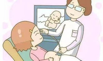 孕期出行旅游注意事項,孕期注意事項及飲食禁忌,孕期養(yǎng)貓注意事項