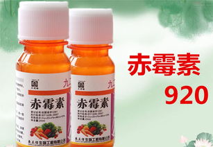 920赤霉酸的注意事項,赤霉酸的使用方法及注意事項,梨涂抹赤霉酸的注意事項