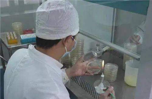 培養(yǎng)基的制備注意事項(xiàng),培養(yǎng)基制作過程中的注意事項(xiàng),培養(yǎng)基的配制與滅菌注意事項(xiàng)