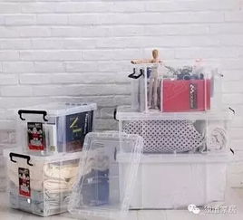 養(yǎng)魚,收納,注意事項(xiàng)