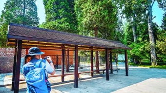 東單,注意事項,公園