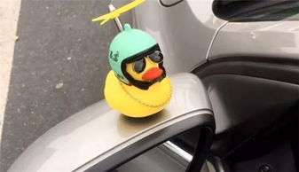 小黃,注意事項(xiàng),法律