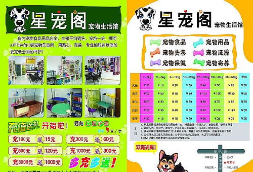 開寵物店注意事項(xiàng)