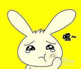 鵝毛,注意事項(xiàng)