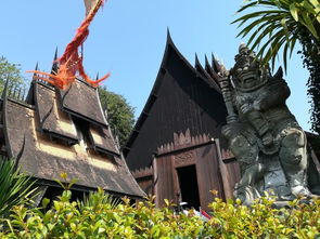 注意事項,自由,清邁