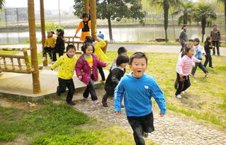 幼兒園踏春注意事項