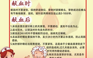 獻(xiàn)血注意事項(xiàng)主要幾點(diǎn)女生,獻(xiàn)血注意事項(xiàng)主要幾點(diǎn),獻(xiàn)血注意事項(xiàng)和禁忌癥