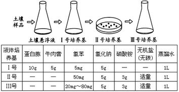 培養(yǎng)基,平板,注意事項(xiàng),制作