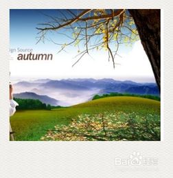 單位組織出游注意事項