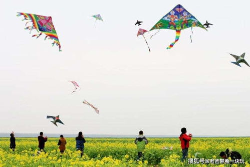 放風(fēng)箏的注意事項(xiàng),放風(fēng)箏的安全注意事項(xiàng),放風(fēng)箏的要點(diǎn)和注意事項(xiàng)