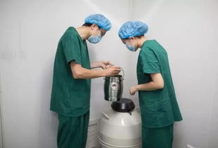 移植,注意事項(xiàng),動(dòng)胚前