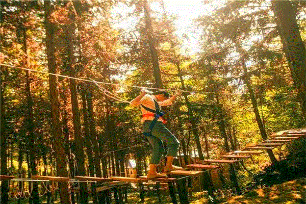 叢林,穿越,注意事項(xiàng),項(xiàng)目