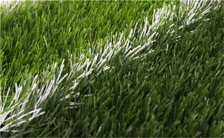 草皮鋪設(shè)注意事項(xiàng)