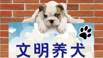 養(yǎng)狗的注意事項,過敏性鼻炎養(yǎng)狗注意事項,孕婦養(yǎng)狗注意事項