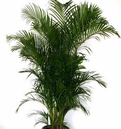 注意事項,辦公室