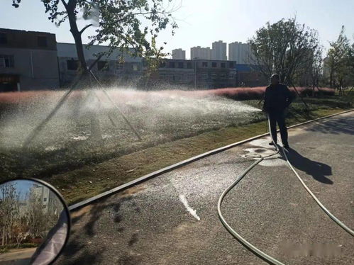 園林植物灌溉注意事項