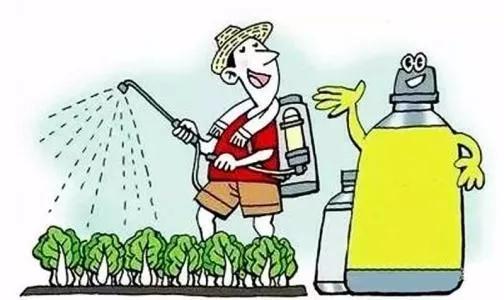 農(nóng)藥,注意事項(xiàng),出口