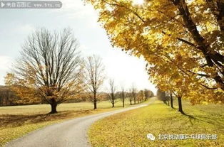 多彩的秋天路上注意事項(xiàng)