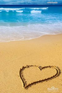 臺風(fēng)注意事項通知,軍訓(xùn)注意事項通知,五一放假注意事項通知