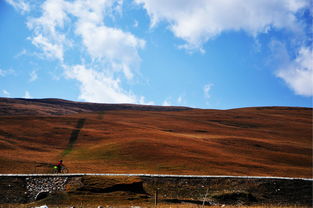8月去青海湖注意事項