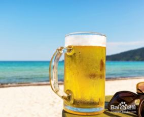 啤酒運輸注意事項,啤酒發(fā)酵注意事項,啤酒生產(chǎn)注意事項