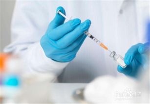 打狂犬疫苗注意事項(xiàng)有哪些,打狂犬疫苗注意事項(xiàng)忌口有哪些,貓咪打狂犬疫苗注意事項(xiàng)