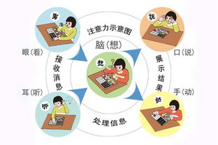 米蘭種植注意事項(xiàng),米蘭的養(yǎng)護(hù)注意事項(xiàng),米蘭的養(yǎng)殖方法和注意事項(xiàng)