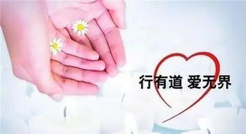 獻(xiàn)血前注意事項(xiàng),女性獻(xiàn)血注意事項(xiàng),獻(xiàn)血前一天注意事項(xiàng)