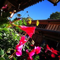 納西族,注意事項(xiàng)