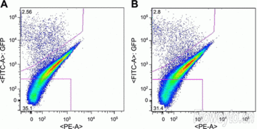 流式分選儀注意事項(xiàng),尿流率注意事項(xiàng),測(cè)尿流率的注意事項(xiàng)
