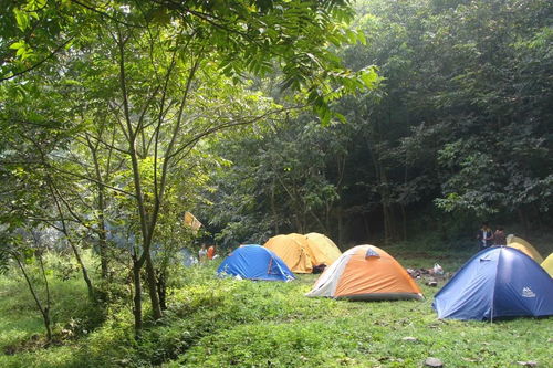 搭帳篷注意事項錯誤的是