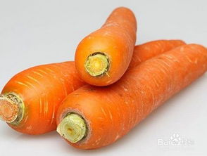 注意事項(xiàng),蔬菜,運(yùn)輸