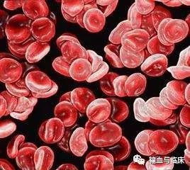 懸浮紅細胞輸注速度,輸懸浮紅細胞的速度和注意事項,輸入懸浮紅細胞注意事項