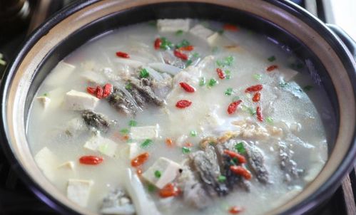 鯽魚(yú)豆腐湯注意事項(xiàng)