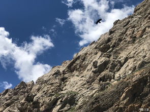 格爾木到拉薩自駕游注意事項,成都到拉薩自駕游注意事項,去新疆自駕游注意事項