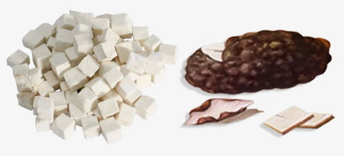 杜仲的用量用法及注意事項(xiàng)介紹