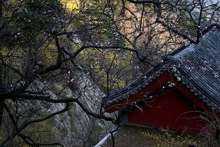 泰山祈福注意事項(xiàng),爬泰山的注意事項(xiàng),泰山還愿注意事項(xiàng)
