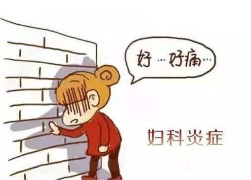 月經(jīng)期注意事項(xiàng)和飲食禁忌,月經(jīng)期注意事項(xiàng)和禁忌,狗狗月經(jīng)期注意事項(xiàng)