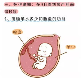 早孕做b超注意事項有哪些,做b超的注意事項,早孕b超前注意事項