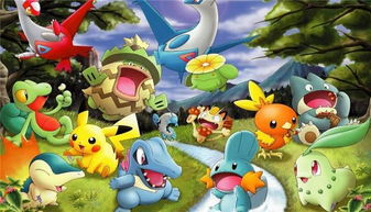 小精靈,注意事項(xiàng),寵物,二周目