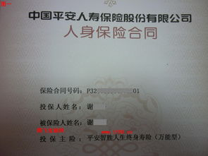 平安,盛世,簽合同,注意事項